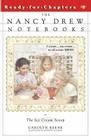 The Ice Cream Scoop (Nancy Drew Notebooks #6) By Carolyn Keene Cover Image