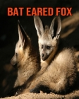 Bat Eared Fox: Super Fun Facts And Amazing Pictures By Lauren Massarella Cover Image