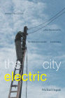 The City Electric: Infrastructure and Ingenuity in Postsocialist Tanzania By Michael Degani Cover Image