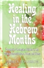 Healing in the Hebrew Months: Prophetic Strategies in the Tribes, Constellations, Gates, and Gems Cover Image