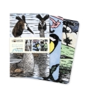 Chris Pendleton Set of 3 Mini Notebooks (Mini Notebook Collections) By Flame Tree Studio (Created by) Cover Image