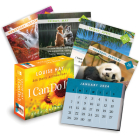 I Can Do It® 2024 Calendar: 366 Daily Affirmations By Louise Hay Cover Image