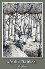 A Spell in The Woods By Stella Wulf, Claire Jefferson (Illustrator) Cover Image