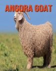 Angora Goat: Children Book of Fun Facts & Amazing Photos By Kayla Miller Cover Image