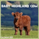 Baby Highland Cow Calendar 2021: Official Baby Highland Cow Calendar 2021, 12 Months Cover Image