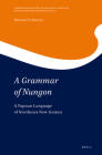 A Grammar of Nungon: A Papuan Language of Northeast New Guinea (Grammars and Sketches of the World's Languages #2) By Sarvasy Cover Image