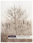 With Trees: Photography by Dav Thomas By Dav Thomas (By (photographer)) Cover Image