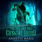 The One and Only Crystal Druid By Annette Marie, Cris Dukehart (Read by) Cover Image