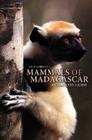 Mammals of Madagascar: A Complete Guide Cover Image