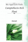 Bio approach finds camptothecin-rich plant Cover Image