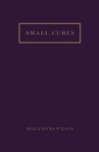 Small Cures Cover Image