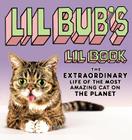 Lil BUB's Lil Book: The Extraordinary Life of the Most Amazing Cat on the Planet By Lil BUB Cover Image