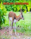 Antilope cervicapra: Fantastici fatti e immagini Cover Image