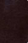 RVR 1960 Biblia de Estudio Scofield Tamano Personal, chocolate oscuro símil piel Cover Image