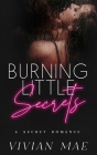 Burning Little Secrets Cover Image