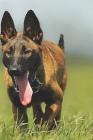 Malinois Notebook Cover Image