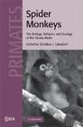 Spider Monkeys (Cambridge Studies in Biological and Evolutionary Anthropolog #55) By Christina J. Campbell (Editor) Cover Image