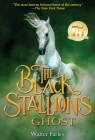 The Black Stallion's Ghost Cover Image