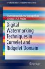 Digital Watermarking Techniques in Curvelet and Ridgelet Domain (Springerbriefs in Computer Science) By Channapragada Rama Seshagiri Rao, Munaga V. N. K. Prasad Cover Image