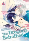 The Dragon's Betrothed, Vol. 2 By Meguru Hinohara Cover Image