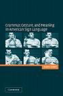 Grammar, Gesture, and Meaning in American Sign Language By Scott K. Liddell Cover Image
