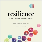 Resilience: Why Things Bounce Back By Andrew Zolli, Anne Marie Healy, Ann Marie Healy Cover Image