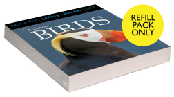 Audubon Birds Page-A-Day Gallery Calendar Refill Pack 2023 By Workman Calendars, National Audubon Society Cover Image