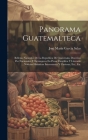Panorama Guatemalteca: Bellezas Naturales De La Republica De Guatemala, Descritas Por Nacionales Y Extranjeros En Prosa Cientifica Y Literari By José María García Salas Cover Image