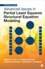 Advanced Issues in Partial Least Squares Structural Equation Modeling Cover Image