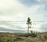 The Oldest Living Things in the World By Rachel Sussman, Carl Zimmer (Memoir by), Hans Ulrich Obrist (Memoir by) Cover Image