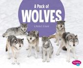 A Pack of Wolves (Animal Groups) By Martha E. H. Rustad Cover Image