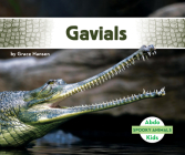 Gavials By Grace Hansen Cover Image