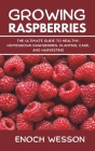 Growing Raspberries: The Ultimate Guide to Healthy, Homegrown Raspberries: Planting, Care, and Harvesting By Enoch Wesson Cover Image