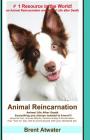 Animal Reincarnation: Everything You Always Wanted to Know! about Pet Reincarnation plus 