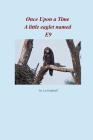 Once Upon a Time A little Eaglet named E9 By Liz Grindstaff Cover Image