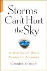 The Storms Can't Hurt the Sky: The Buddhist Path through Divorce By Gabriel Cohen Cover Image