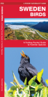 Sweden Birds: A Folding Pocket Guide to Familiar Species (Pocket Naturalist Guide) Cover Image