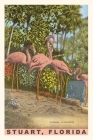 Vintage Journal Flamingos By Found Image Press (Producer) Cover Image