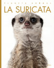 La suricata (Planeta animal) By Valerie Bodden Cover Image