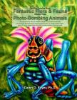 Big Kids Coloring Book: Fantastic Flora and Fauna: Volume Three - Photo-Bombing Animals By Dawn D. Boyer Cover Image