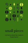 Small Pieces (American Literature) By Micheline Marcom, Fowzia Karimi (Illustrator) Cover Image