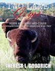Two Lane Gems, Vol. 2: Bison are Giant and Other Observations from an American Road Trip By Theresa L. Goodrich Cover Image