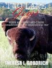 Two Lane Gems, Vol. 2: Bison are Giant and Other Observations from an American Road Trip Cover Image