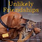 Unlikely Friendships 2014 Wall Calendar By Jennifer Holland Cover Image