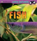 Fish: A 4D Book By Melissa Higgins Cover Image
