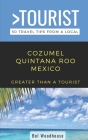 Greater Than a Tourist- Cozumel Quintana Roo Mexico: 50 Travel Tips from a Local Cover Image
