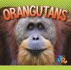Orangutans By Marysa Storm Cover Image