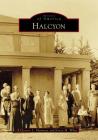 Halcyon Cover Image
