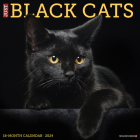 Just Black Cats 2024 12 X 12 Wall Calendar By Willow Creek Press Cover Image