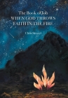 The Book of Job When God Throws Faith in the Fire By Chris Strevel Cover Image